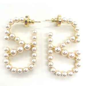 V logo earrings, gifted.